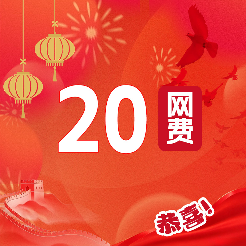 20元网费