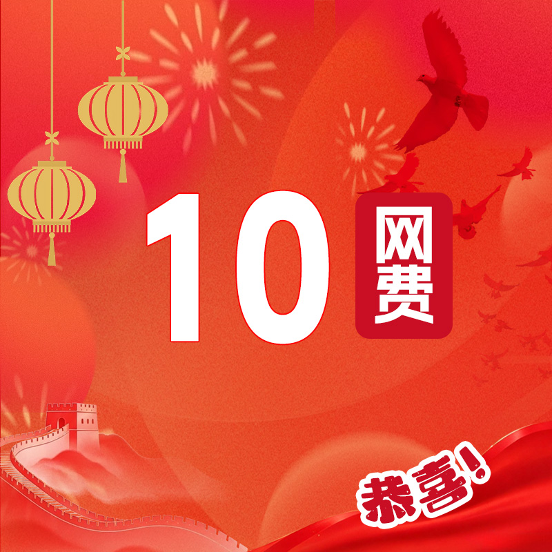 10元网费